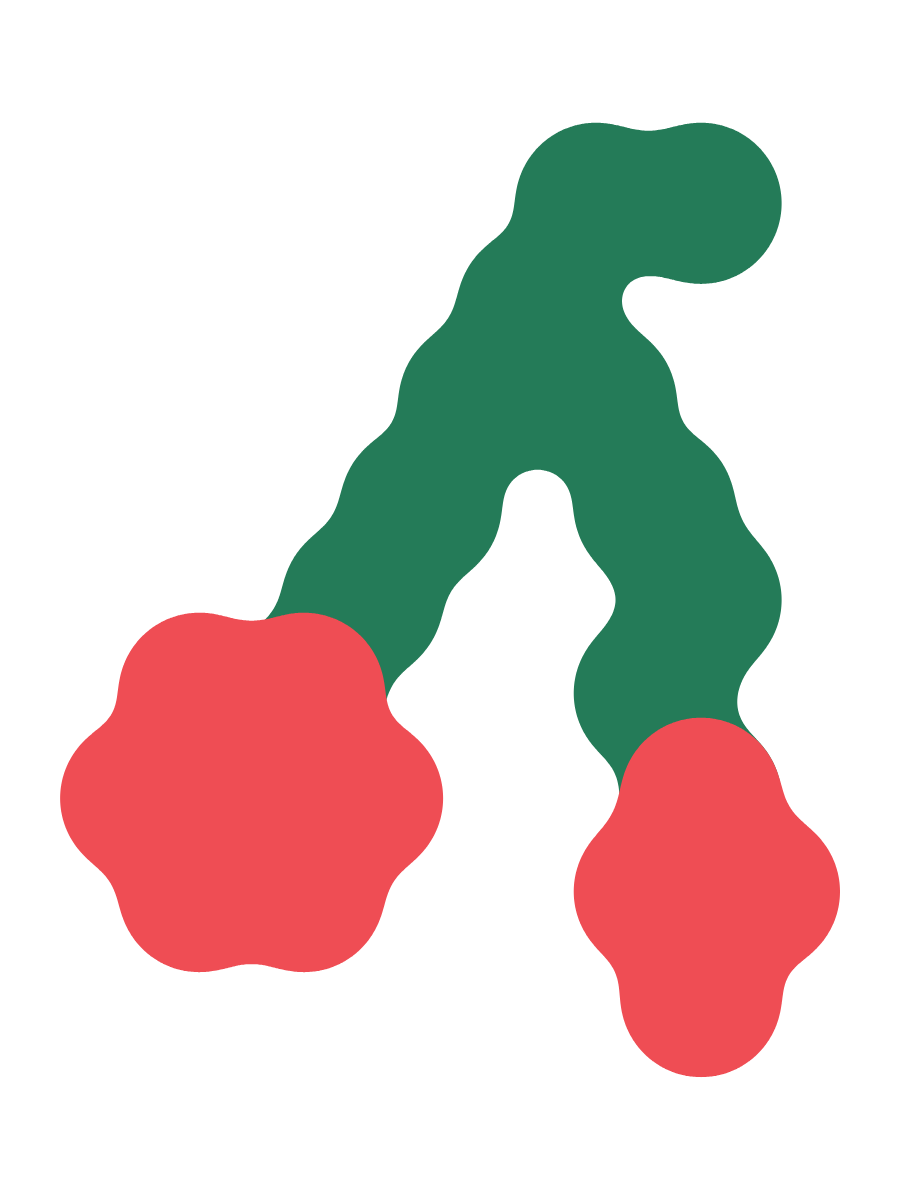 A pair of red cherries with green stems.