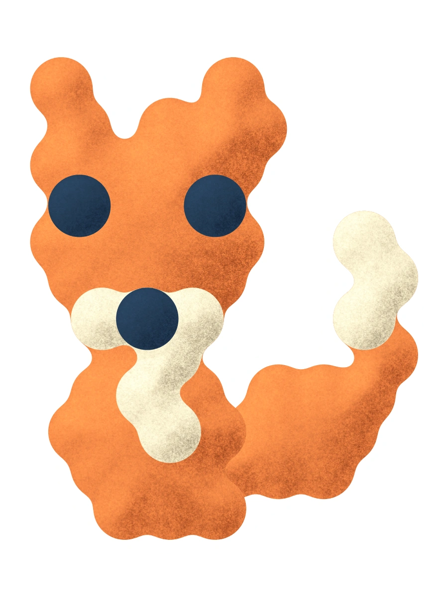 An orange fox with a cream chest and tail tip.